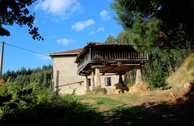 Casa di campagna in vendita Niévares, Asturie, Foto 39/39