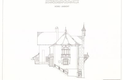 Villa storica in vendita Waidhofen an der Ybbs, Bassa Austria, Foto 41/40