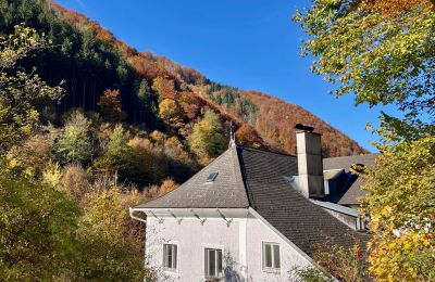 Villa storica in vendita Waidhofen an der Ybbs, Bassa Austria, Foto 31/40