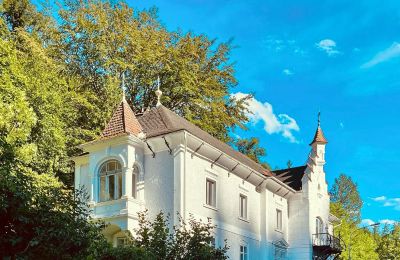 Villa storica in vendita Waidhofen an der Ybbs, Bassa Austria, Foto 2/40
