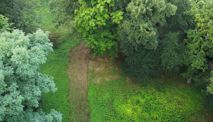 Parco storico in vendita Iłowa, Lubusz,  Polonia