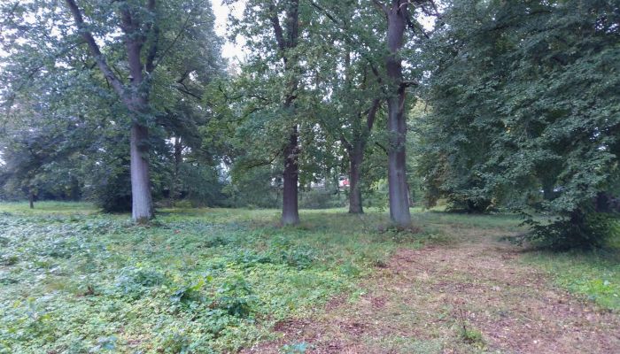  Iłowa 5