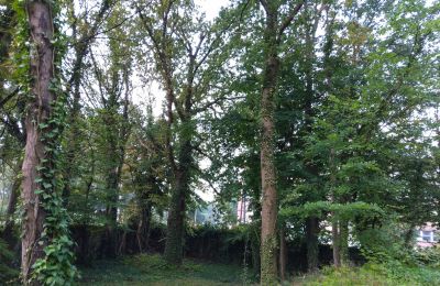 Parco storico in vendita Iłowa, Kolejowa 11, Lubusz, Foto 11/17