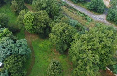 Parco storico in vendita Iłowa, Kolejowa 11, Lubusz, Foto 16/17