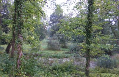 Parco storico in vendita Iłowa, Kolejowa 11, Lubusz, Foto 6/17