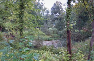 Parco storico in vendita Iłowa, Kolejowa 11, Lubusz, Foto 10/17