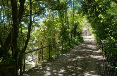Mulino in vendita Cortona, strada provinciale 34, Toscana, Foto 9/35