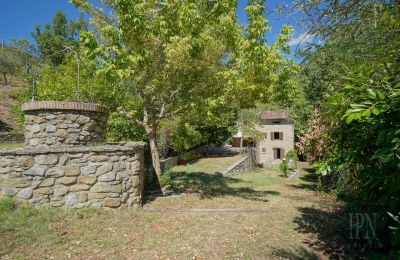 Mulino in vendita Cortona, strada provinciale 34, Toscana, Foto 10/35