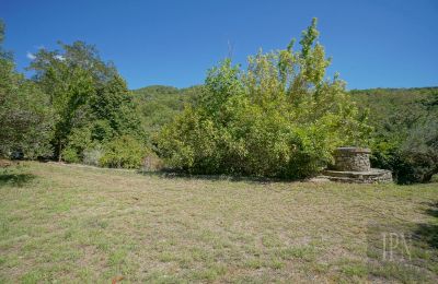 Mulino in vendita Cortona, strada provinciale 34, Toscana, Foto 11/35