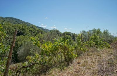 Mulino in vendita Cortona, strada provinciale 34, Toscana, Foto 12/35