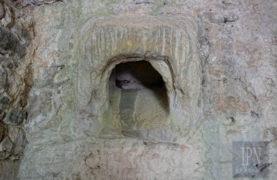 Mulino in vendita Cortona, strada provinciale 34, Toscana, Foto 15/35