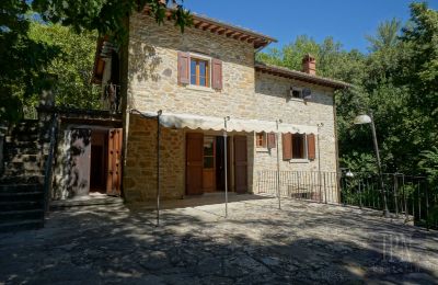 Mulino in vendita Cortona, strada provinciale 34, Toscana, Foto 4/35