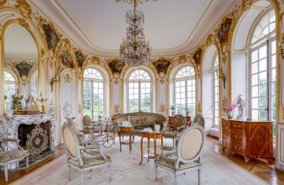 Castello in vendita Abbeville, Hauts-de-France, Salone