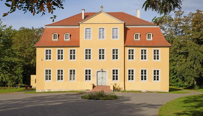 Castello in vendita Groitzsch, Sachsen,  Germania
