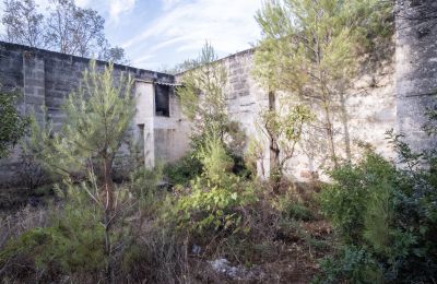 Casa di campagna in vendita Manduria, Via per Lecce km 2, Puglia, Foto 19/31