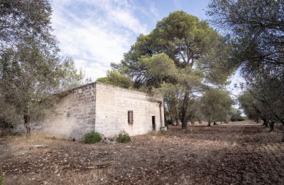 Casa di campagna in vendita Manduria, Via per Lecce km 2, Puglia, Foto 25/31