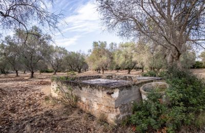 Casa di campagna in vendita Manduria, Via per Lecce km 2, Puglia, Foto 28/31