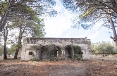 Casa di campagna in vendita Manduria, Via per Lecce km 2, Puglia, Foto 30/31