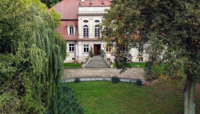 Villa barocca con sala rococò, parco, dependance e cappella