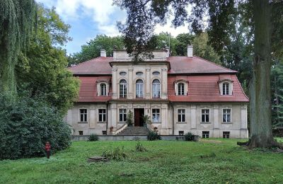 Villa padronale in vendita Popowo Stare, Pałac w Popowie Starym, Grande Polonia, Foto 5/19