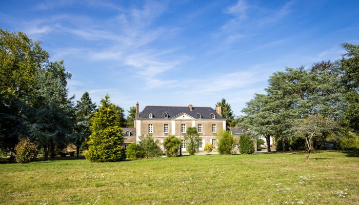 Proprietà storica in vendita Couëron, Paesi della Loira,  Francia
