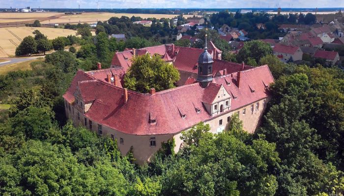 Castello in vendita Mühlberg/Elbe, Brandeburgo,  Germania