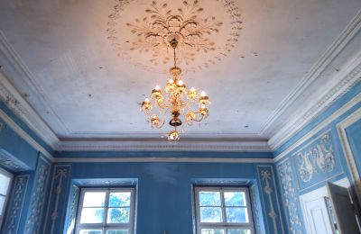 Castello in vendita Siedlec, Pałac w Siedlcu, Grande Polonia, Salone