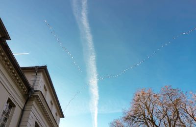 Castello in vendita Siedlec, Pałac w Siedlcu, Grande Polonia, Foto 20/20