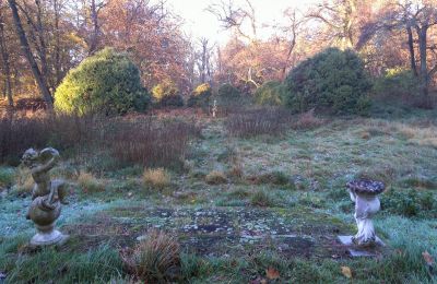 Castello in vendita Siedlec, Pałac w Siedlcu, Grande Polonia, Parco