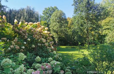 Mulino in vendita Netvořice, okres Benešov, Foto 16/21