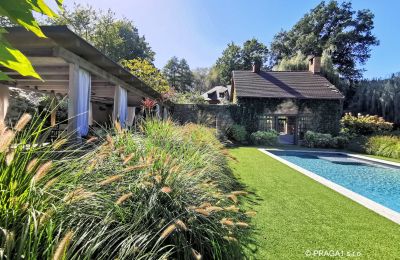 Mulino in vendita Netvořice, okres Benešov, Foto 3/21