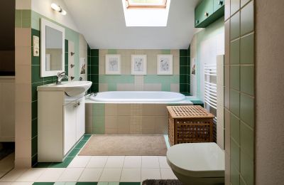 Mulino in vendita Netvořice, okres Benešov, Foto 11/21