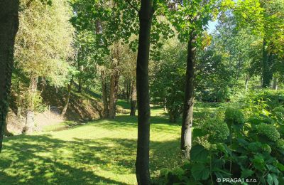 Mulino in vendita Netvořice, okres Benešov, Foto 21/21