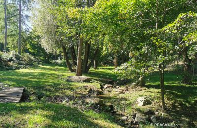 Mulino in vendita Netvořice, okres Benešov, Foto 15/21