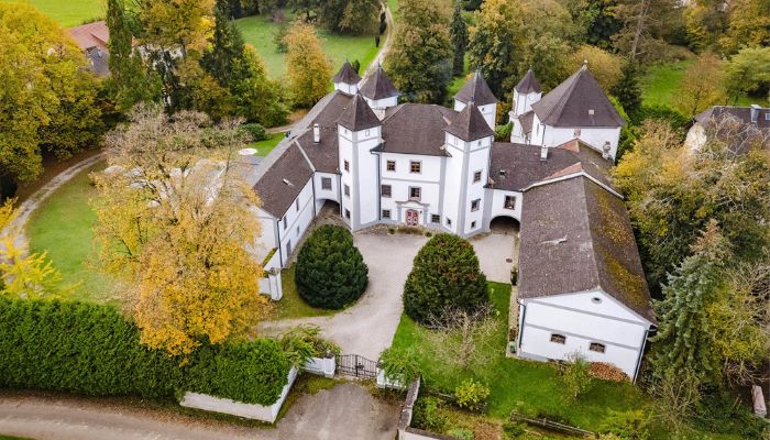 Castello in vendita 4693 Desselbrunn, Oberösterreich,  Austria