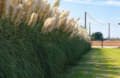 Villa storica in vendita Paviole, cesare battisti 43, Veneto, Foto 43/46