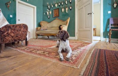 Villa padronale in vendita 19386 Kreien, Rosenstraße 32, Mecklenburg-Vorpommern, Zona giorno