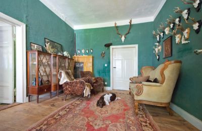 Villa padronale in vendita 19386 Kreien, Rosenstraße 32, Mecklenburg-Vorpommern, Zona giorno