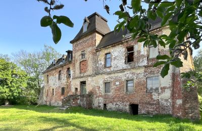 Immobili storici, Castello vicino a Wrocław nella zona di Komorowice