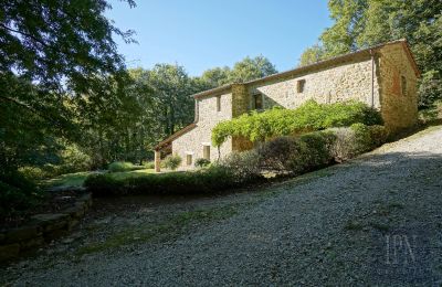 Casa di campagna in vendita 06019 Umbertide, Umbria, Foto 18/47