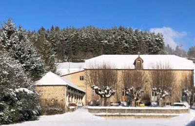 Monastero in vendita Auvergne-Rhône-Alpes, Foto 3/21