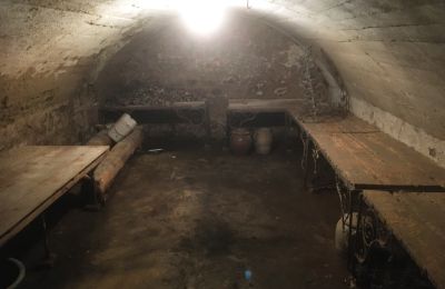 Monastero in vendita Auvergne-Rhône-Alpes, Foto 6/21