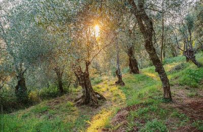 Villa storica in vendita Loro Ciuffenna, Toscana, Foto 4/35