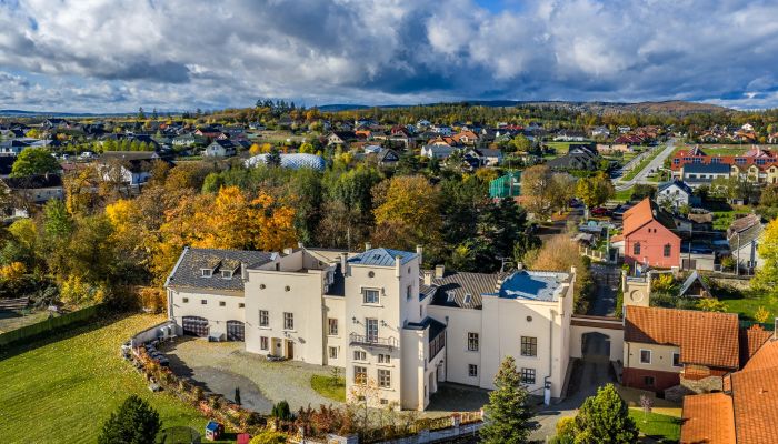 Castello in vendita Trnová, Regione della Boemia Centrale