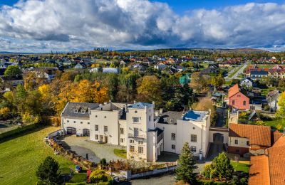Castello in vendita Trnová, okres Praha-západ, Foto con drone