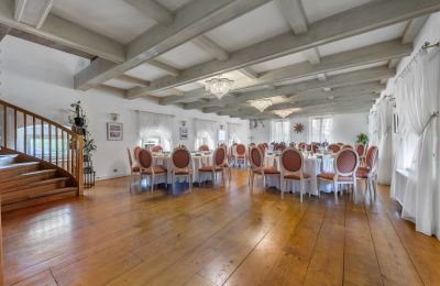 Castello in vendita Trnová, okres Praha-západ, Ampio salone