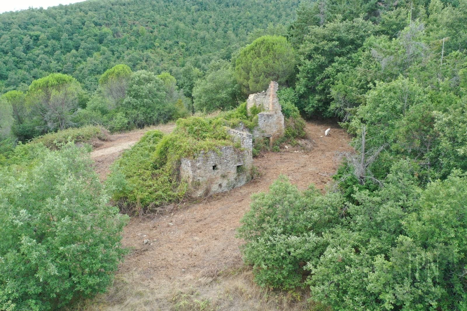 Immagini Casale in pietra da ristrutturare con terreno di 2,8 ha a Pian di Marte