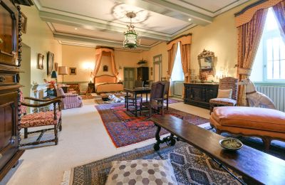 Castello medievale in vendita Pouzilhac, Occitania, Foto 16/43