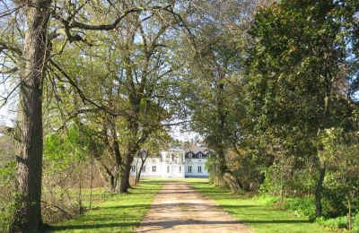 Villa padronale in vendita Mołomotki-Dwór, Masovia, Foto 6/16
