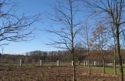 Villa padronale in vendita Mołomotki-Dwór, Masovia, ogrodzenie